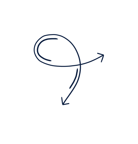 decorative line on contact form